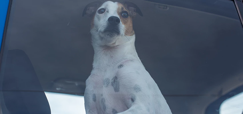 Car Lockout Solutions in Alondra Park, California